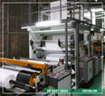 Vina Tan A factory image