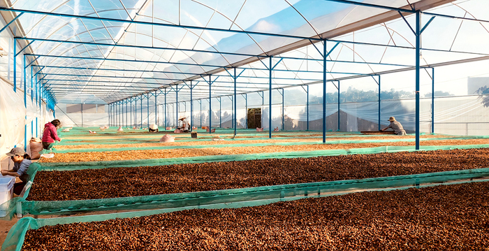 Greenhouse drying rack
