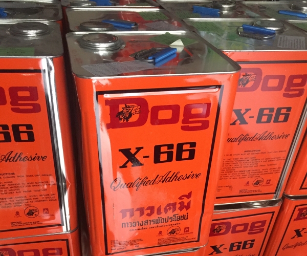 Dog glue