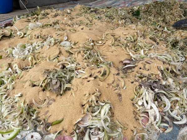 Organic rice production process