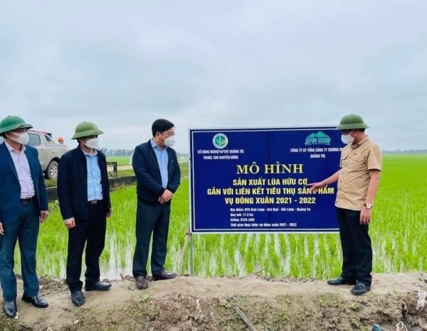 Organic rice production process