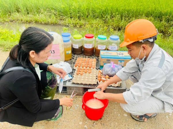 Organic rice production process
