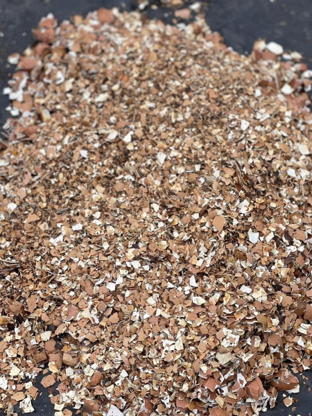 Organic rice production process
