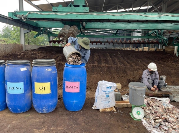 Organic rice production process