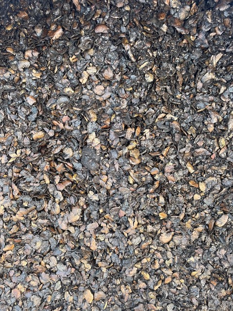 Cashew residue