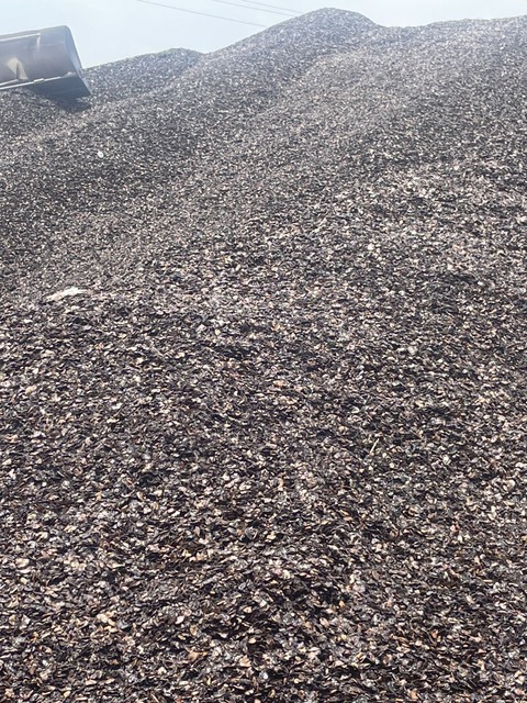 Cashew residue