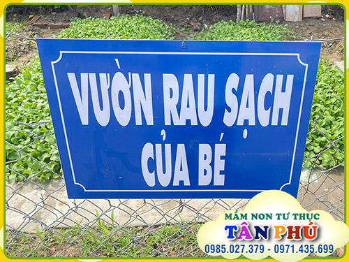 Garden for children
