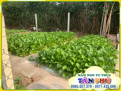 Garden for children