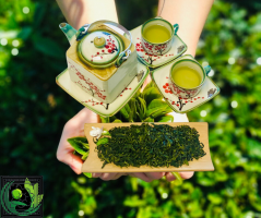 Organic Green Tea