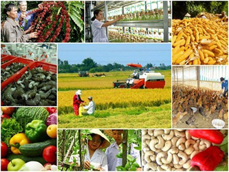 Agriculture