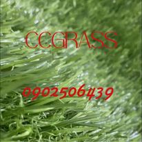Grass turf