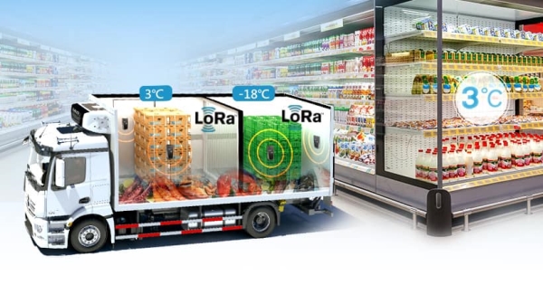 Road transport