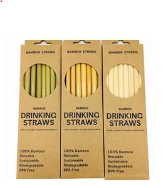 Bamboo Straw Box 10pcs