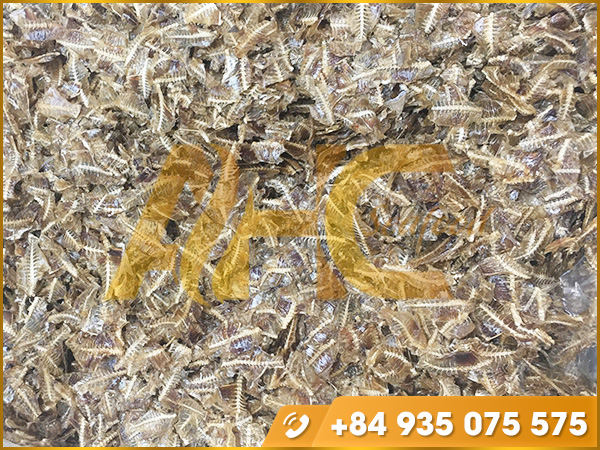 Dried unicorn leatherjacket filefish