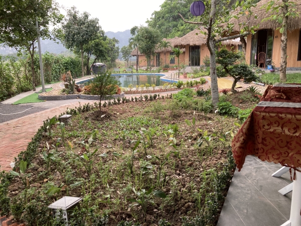 Trang An tour