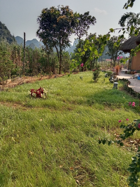 Trang An tour