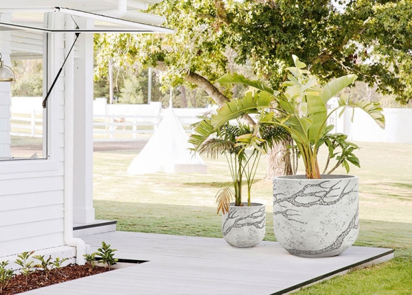 Poly, Cement Planter