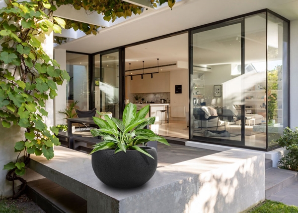 Poly, Cement Planter