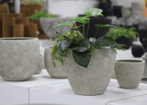 Poly, Cement Planter