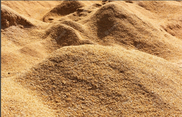 Rice husk