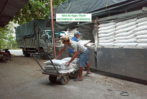 Container cargo transport