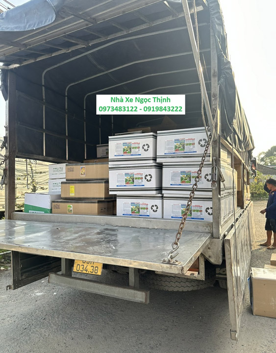 Container cargo transport