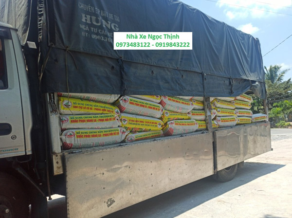 Container cargo transport