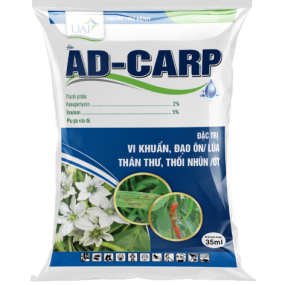 AD CARP 2SL