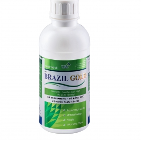 BRAZIL GOLD