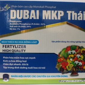 DUBAI MKP