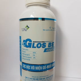 GLOSBE 400EC