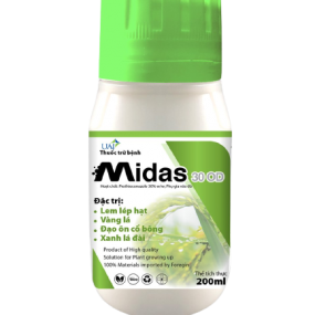 MIDAS 30 OD