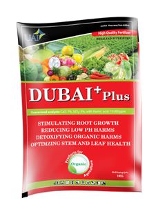 DUBAI PLUS