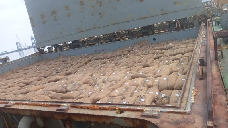 Bulk transport