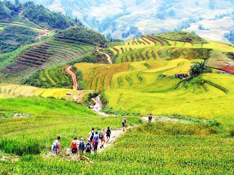 Vietnam Travel Package 12 Days 11 Nights