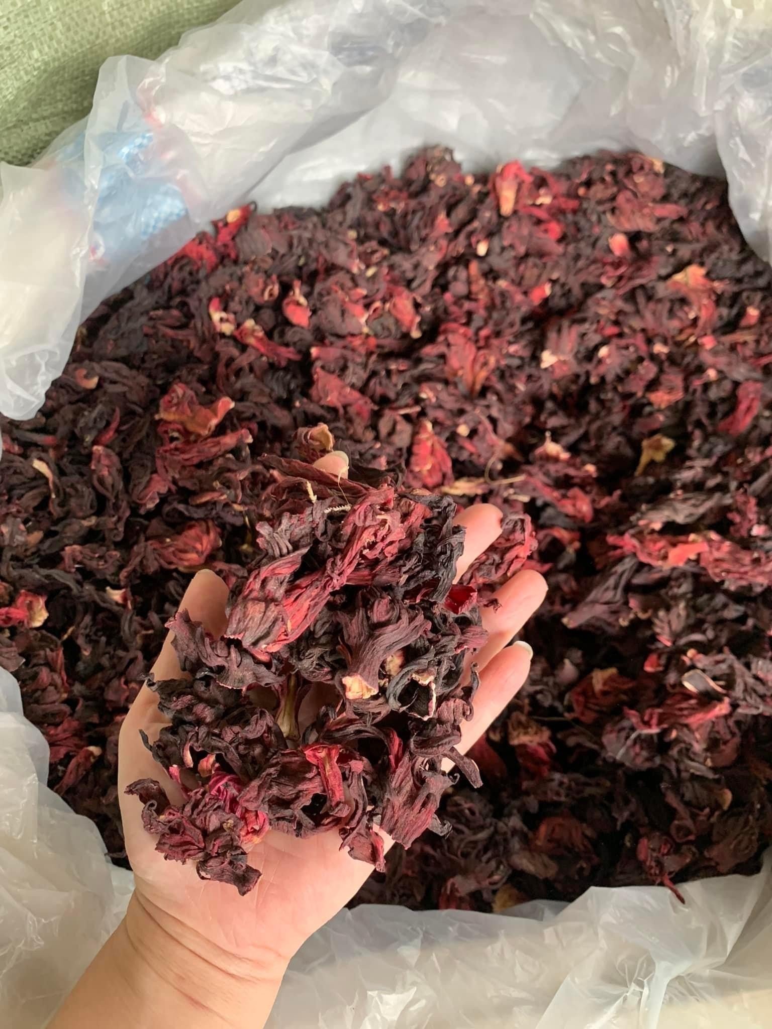 Red hibiscus flower