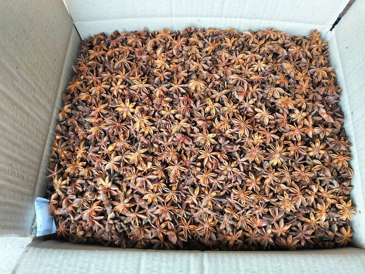 Star anise