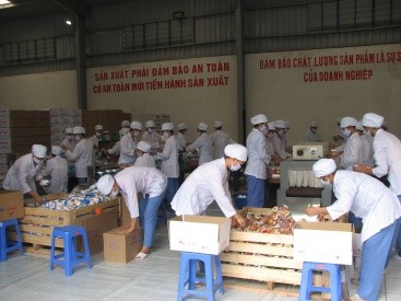 Visaco company