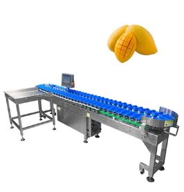 Conveyor belt weight sorting machine