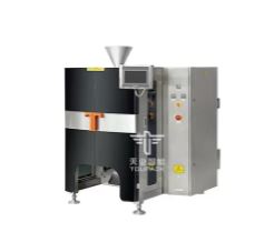 Stand packing machine