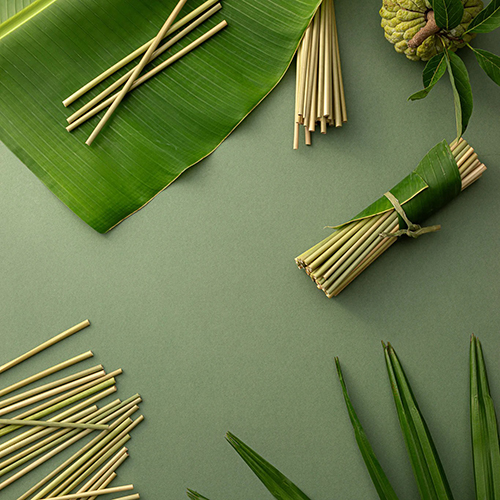 Grass straws