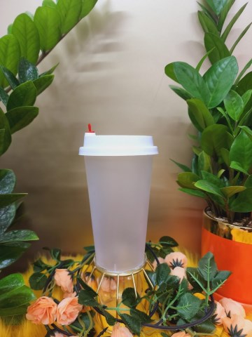 Plastic cup