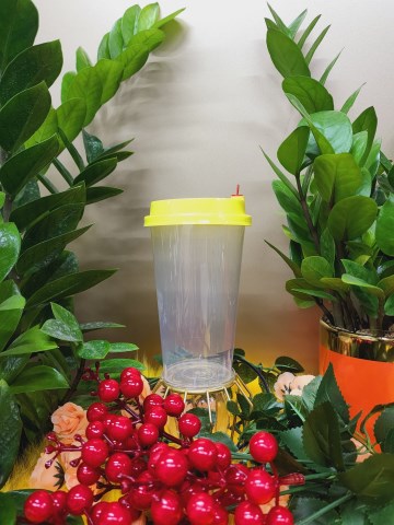 Plastic cup