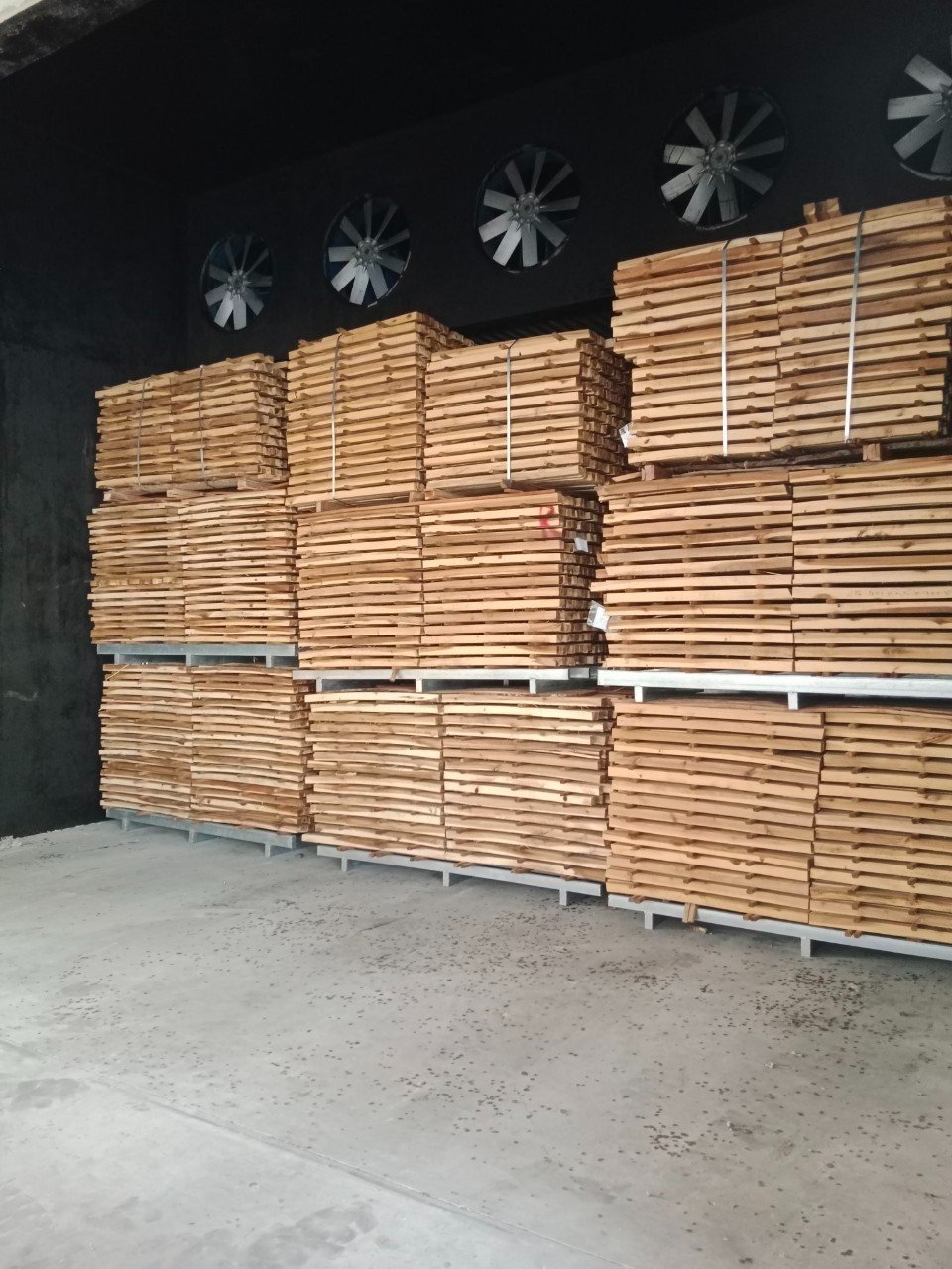 Thanh Long factory