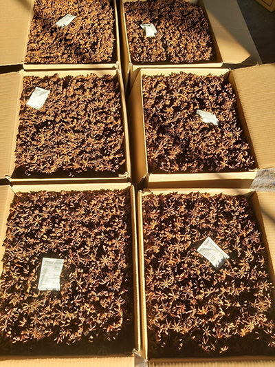 Anise