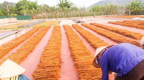 Cinnamon sticks