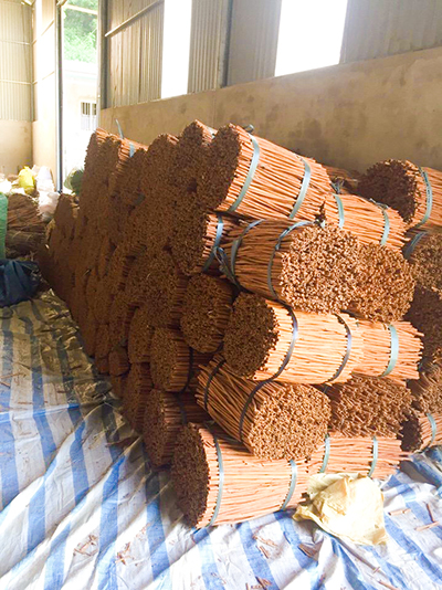 Cinnamon sticks