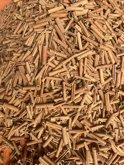 Cinnamon sticks