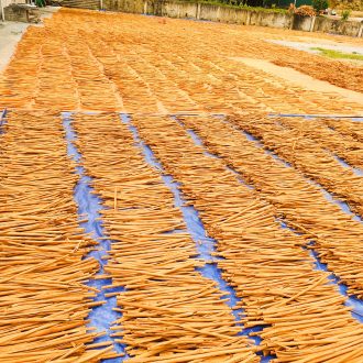 Cinnamon long sticks