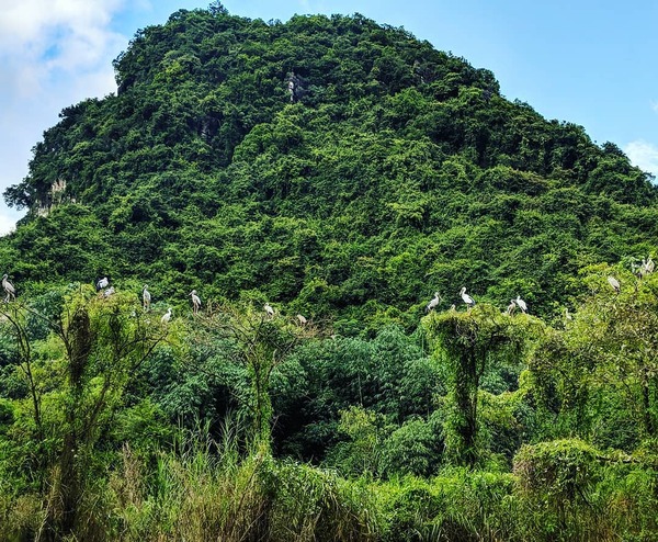Bac Lieu Bird Sanctuary
